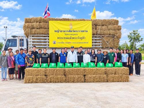 การส่งมอบพืชอาหารสัตว์พระราชทาน และถุงยังชีพสำหรับสัตว์เพื่อเป็นขวัญกำลังใจให้เกษตรกรผู้เลี้ยงปศุสัตว์อำเภอลาดยาว
